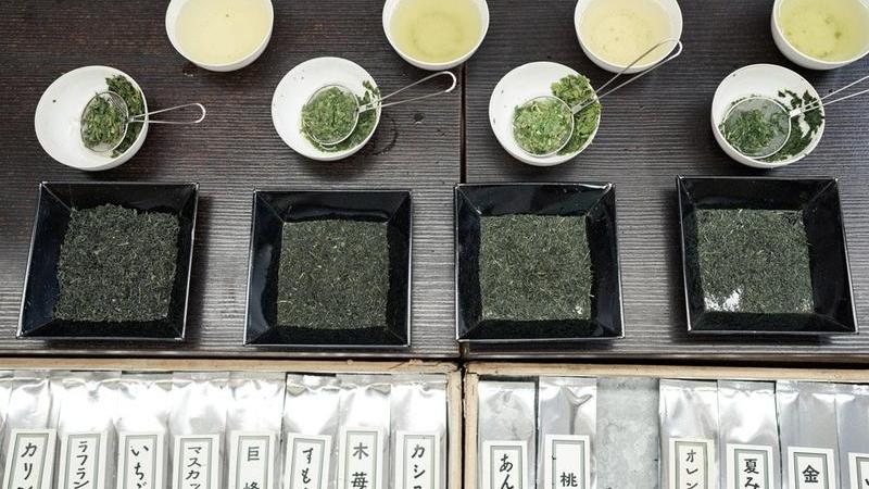 Japanese Tea for Everyone
