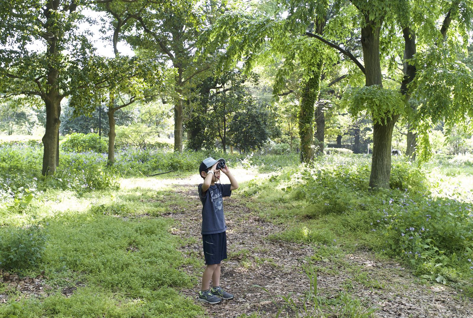 birdwatching_Kitanomarukoen__son_KenjiHall_may2020.JPG