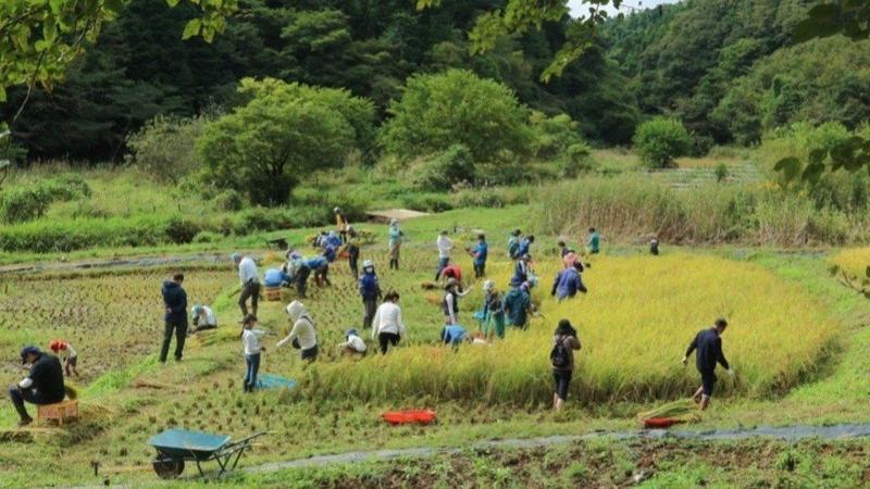 Tokyo's Satoyama Cultivate Connections with Nature