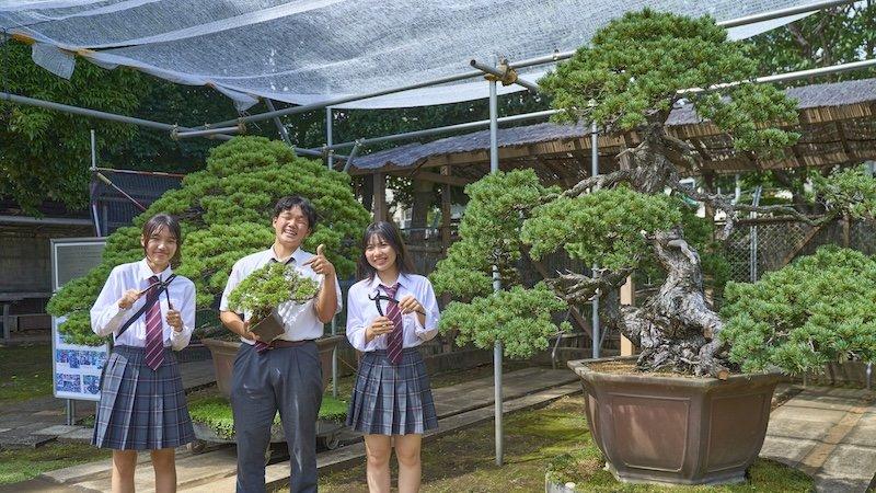 Tokyo High School Students Find Meaning, Explore Cultural Roots via Bonsai Care
