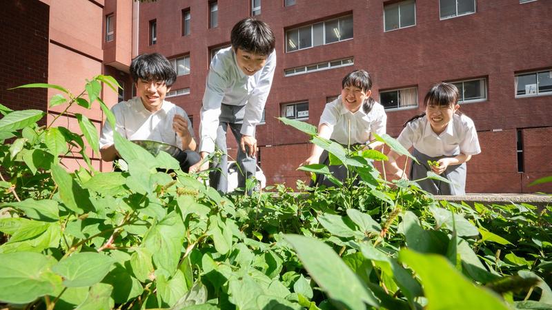 Pick, Study, Eat: High School Students Take on Urban Weeds