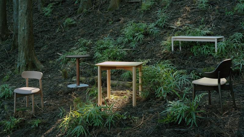 Forest Management Project in Tokyo Connects Nature and Cities